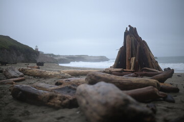 Driftwood Structure