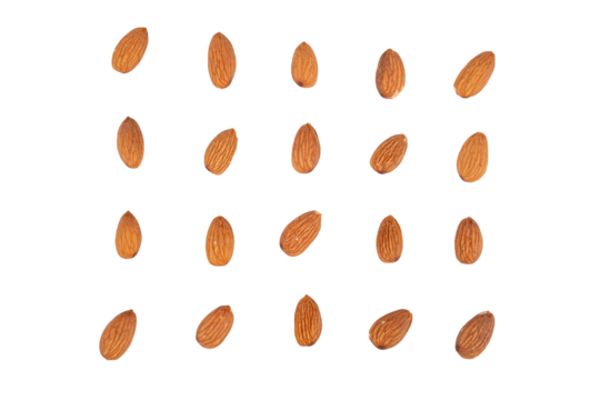 Almonds seed isolated on transparent background