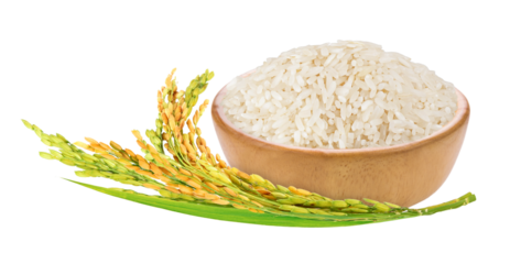 White rice in wooden bowl with paddy rice ears and green blades isolated. Png transparency