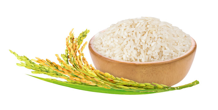 White rice in wooden bowl with paddy rice ears and green blades isolated. Png transparency