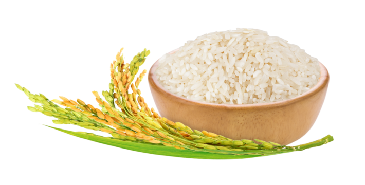 White rice in wooden bowl with paddy rice ears and green blades isolated. Png transparency