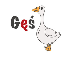 Polish alphabet with the image of a goose. Translation from Polish: goose. vector cartoon hand drawn illustration