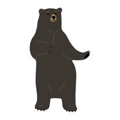 American Black Bear Single cute 17, vector illustration