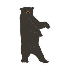 American Black Bear Single cute 20, vector illustration