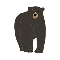 American Black Bear Single cute 16, vector illustration