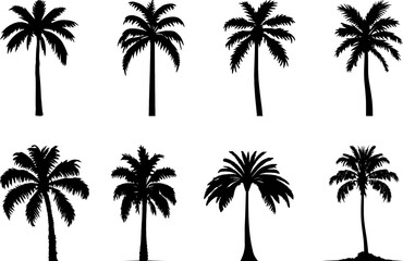 Palm tree icons. Black silhouette of tropical coconut tree set