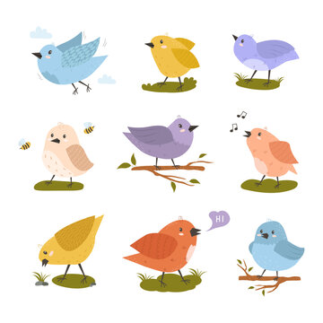 Set of cute birds sitting on a branch. Feathered colorful animals drawn in a flat style. Vector illustration on a white background in a simple cartoon style. Singing bird, flying, hand drawn bee. 