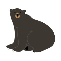 American Black Bear Single cute 21, png illustration