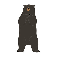 American Black Bear Single cute 15, png illustration