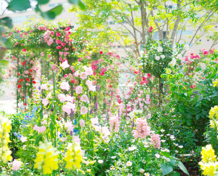 Garden in spring