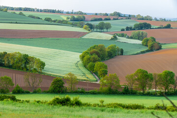 Fototapeta na wymiar The rolling hills of the Dutch province of Limburg near the village of Fromberg, a typical region for agricultural activities