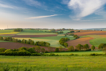 The rolling hills of the Dutch province of Limburg near the village of Fromberg, a typical region for agricultural activities