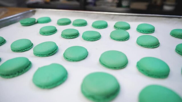 Colorful freshly baked french macarons fill trays in bakery, pink purple green cookie shells, close up 4K