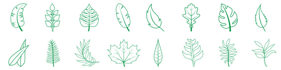 Green leaf vector icon set. botany illustration sign collection. ecology symbol. eco sign.