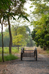 rickshaw at Garden