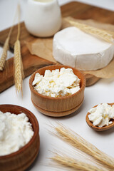 Concept of tasty food - different dairy products