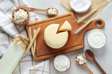 Concept of tasty food - different dairy products