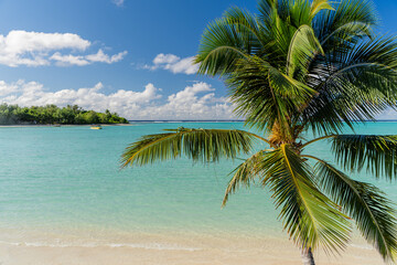 Fototapeta na wymiar Luxury hotel resort in Rarotonga, Cook Islands with crystal clear blue waters