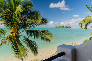 Palm trees swaying in the breeze across Muri Lagoon on Rarotonga island