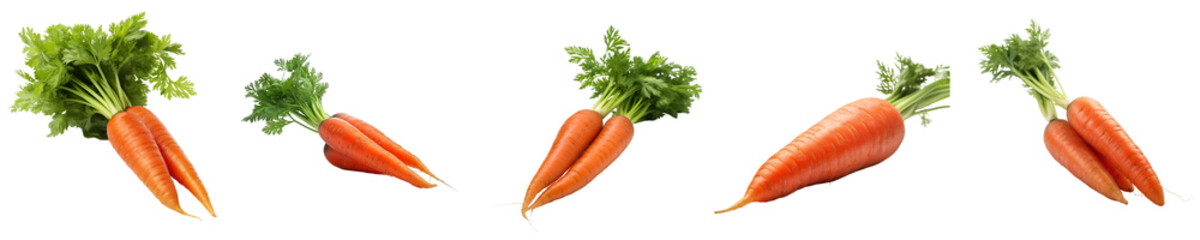 Set of carrot isolated on transparent background	