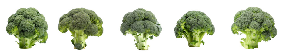 Set of broccoli isolated on transparent background	
