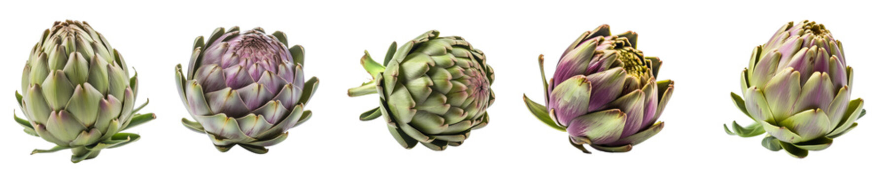 Set of artichoke isolated on transparent background	