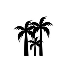 Fototapeta na wymiar Coconut tree silhouette