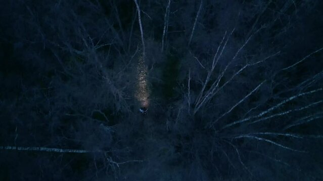 Aerial view of two girls walking in forest and fleeing in fright at night
