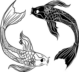 Beautiful line art of gold fish vector illustration.Koi fish for printing on shirt on white isolated background.
