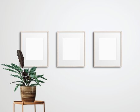 Set of 3 mockup photo frames with house plant against a white wall