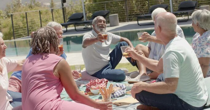 Happy diverse senior friends drinking a toast at picnic in sunny garden, unaltered, in slow motion