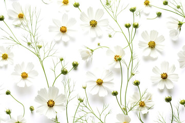 A beautiful pattern with white chamomile, daisies flowers. Floral meadow texture. Holiday wedding, birthday background from a composition of wild flowers Copy space, flat lay, top view. Postcard. ai
