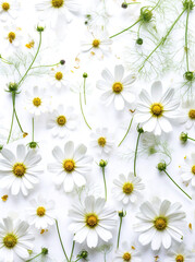A beautiful pattern with white chamomile, daisies flowers. Floral meadow texture. Holiday wedding, birthday background from a composition of wild flowers. vertical, flat lay, top view. Postcard. ai