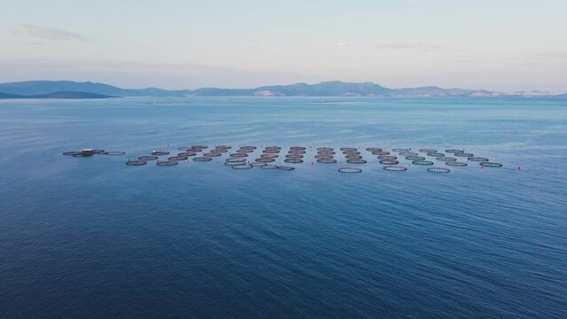 Offshore sea aquaculture cages fish farm, seafood industry. aerial view