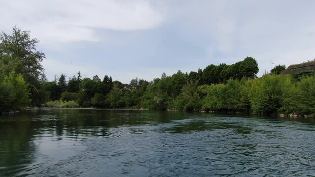 river in the forest