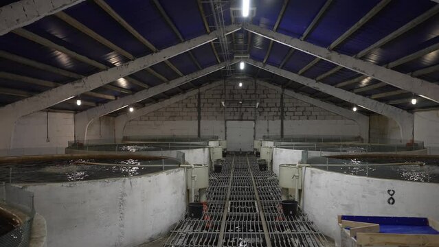 Large fish farms for breeding fish