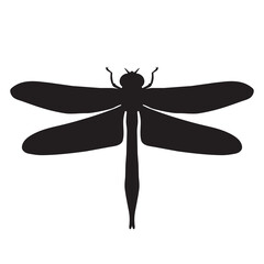 Beautiful dragonfly vector cartoon illustration