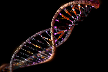 Colorful helix human DNA structure