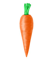 carrot isolated on white background