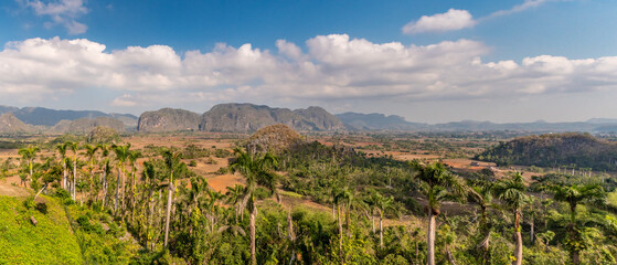 Obraz premium The Vinales valley with the Mogotes from the mirador de Los Jazmines in Cuba