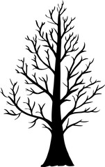 Obraz premium silhouette of a tree isolated. Isolated Dead tree on the white background. Dead tree silhouettes. 