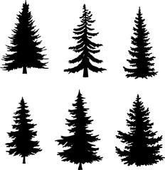 silhouette of a tree isolated. Isolated Dead tree on the white background. Dead tree silhouettes. 