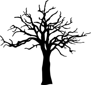 silhouette of a tree isolated. Isolated Dead tree on the white background. Dead tree silhouettes. 
