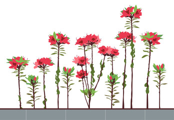 Obraz premium PNG, Illustration of Azalea Flower Beds