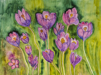 Hustle and bustle of purple crocus flowers on a bright green background. The dabbing technique near the edges gives a soft focus effect due to the altered surface roughness of the paper.