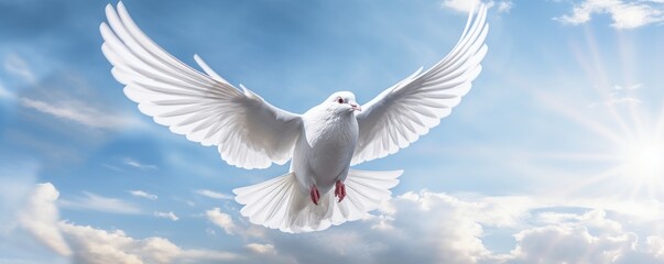 Obraz premium White Dove Flying on Blue Sky Background, Bird of Peace Symbol, International Peace Day. Generative Ai
