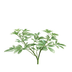 3d illustration of shrubs isolated on transparent background