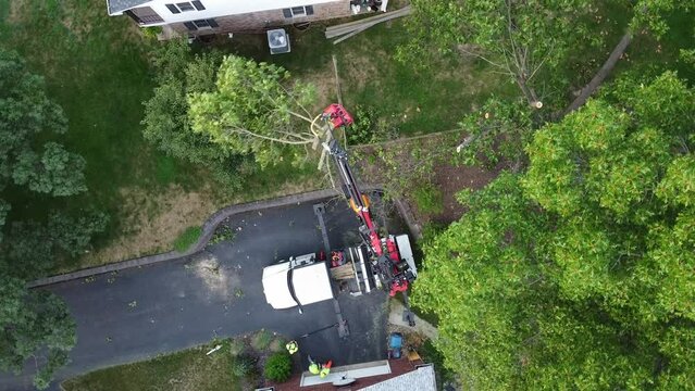 Circling Overhead Drone Shot of Boom Arm Truck Tree Trimming