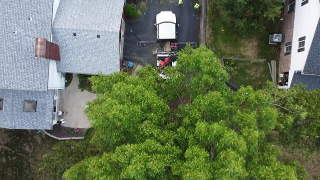 Overhead Drone Shot of Boom Arm Truck Tree Trimming