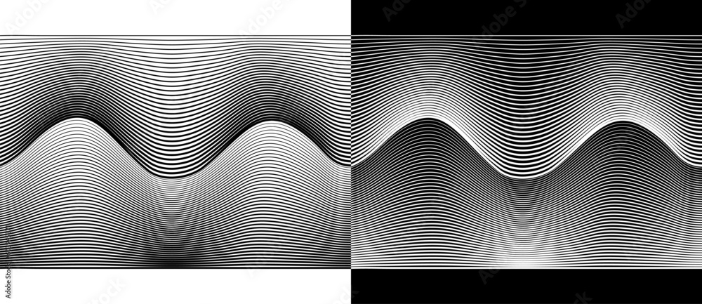 Leinwandbilder Abstract background with waves lines. Illusion of dynamic transition. Black lines on a white background and white lines on the black side.